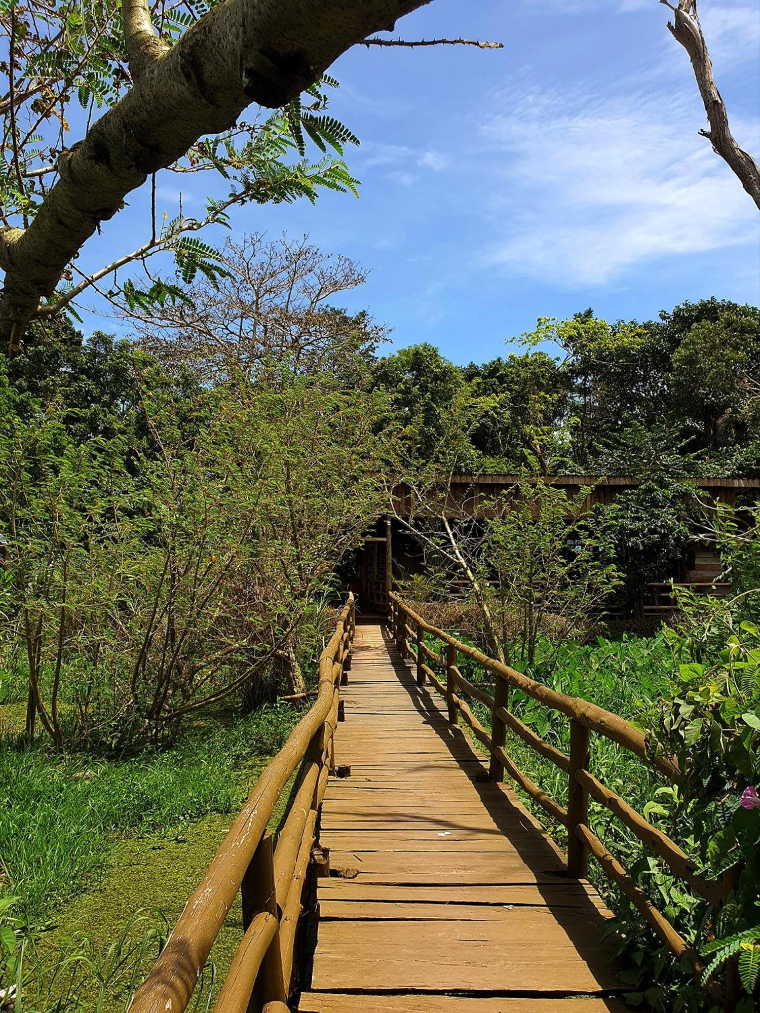 Tilapia Lodge